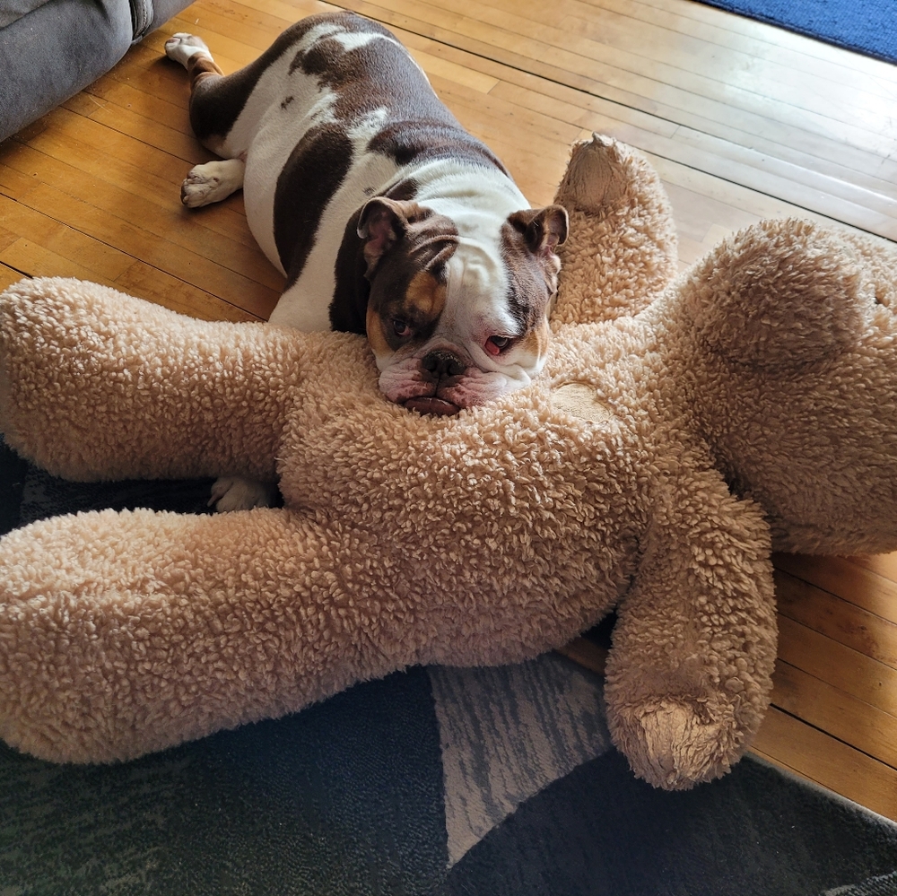 Meet your Posher, Zandy - Picture 9 of 16